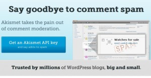 WordPress Akismet API Key