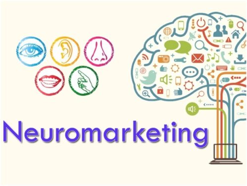 6 Best Neuromarketing Tips for Web Design