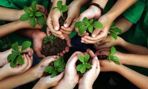 Why Environmental Education Important in Colleges